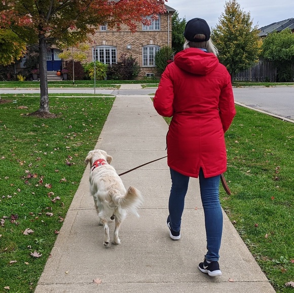 Meet your Posher, Sam - Picture 1 of 1